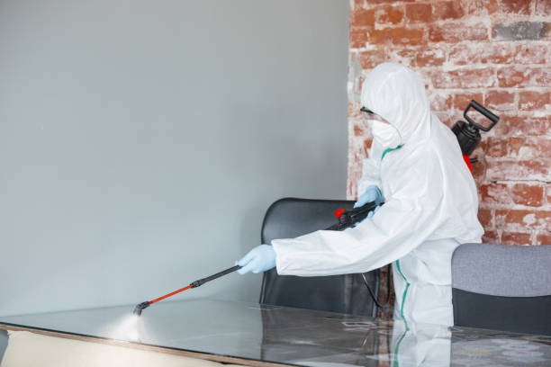 Best Residential Mold Inspection & Testing  in Mammoth Spring, AR